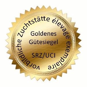 Zwergschnauzer Club SRZ